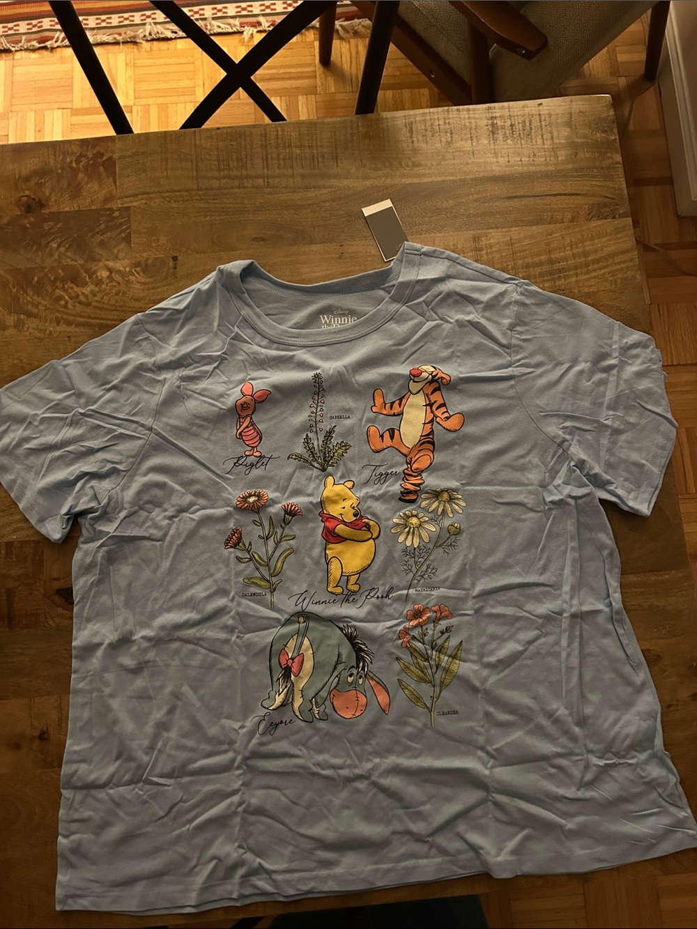 NWT Disney Winnie the Pooh Light Blue Short Sleeve Tee with Character Garden